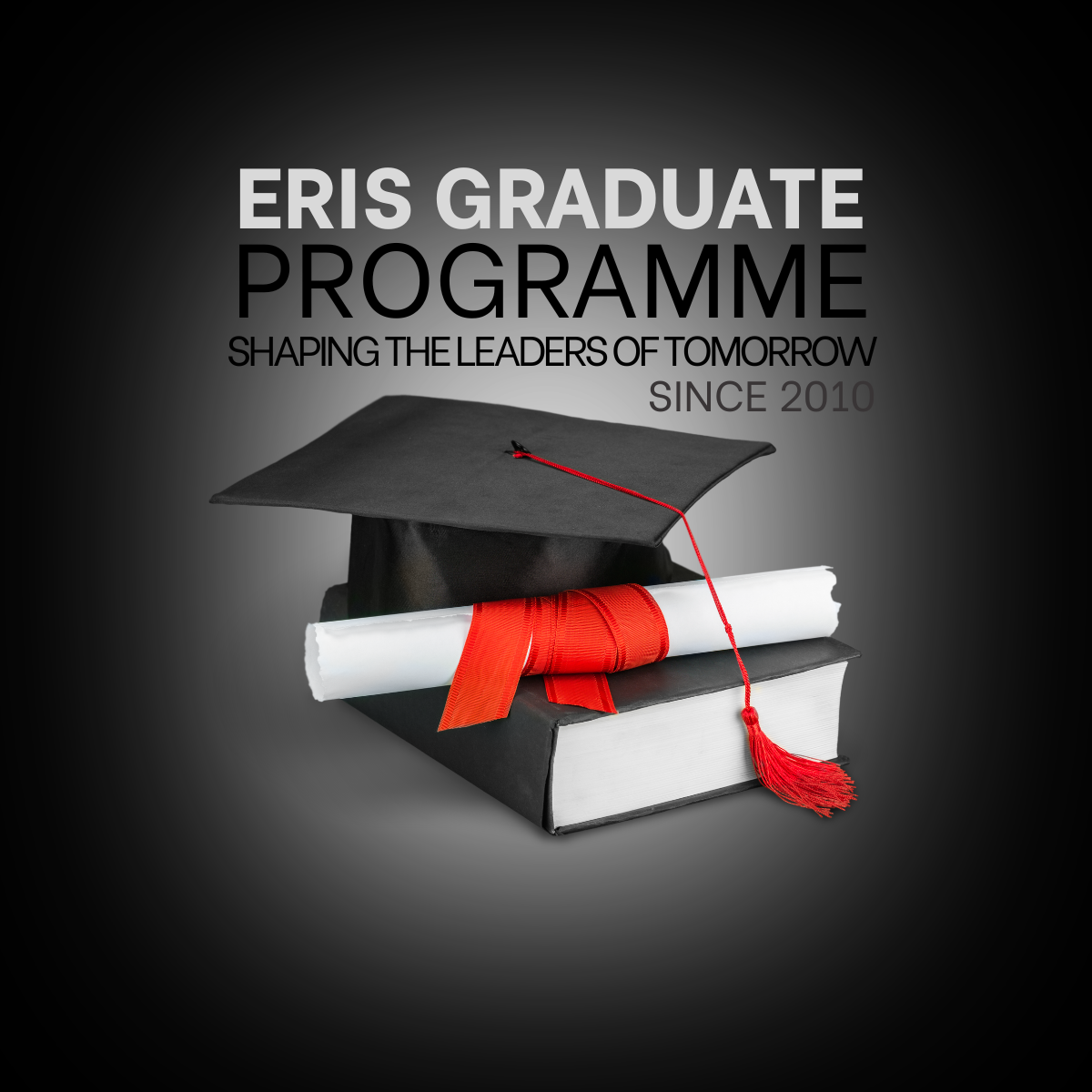 Sixteen Years of Excellence: Why Our Graduate Programme is the Ultimate Launchpad for Your Career